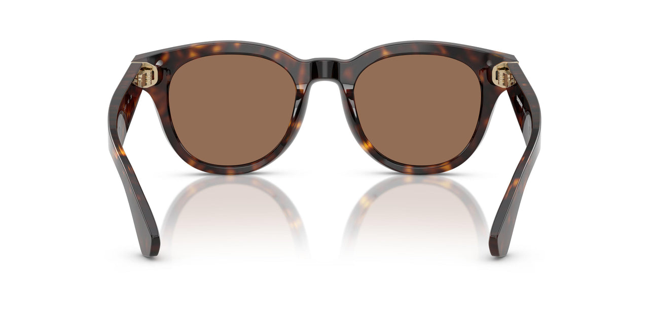 300273 - Brown - Dark Brown