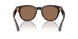 300273 - Brown - Dark Brown