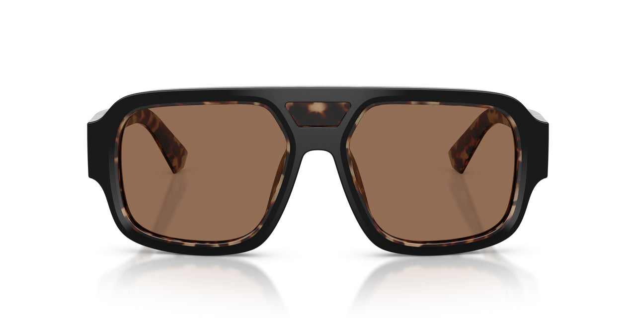 341773 - Black - Dark Brown