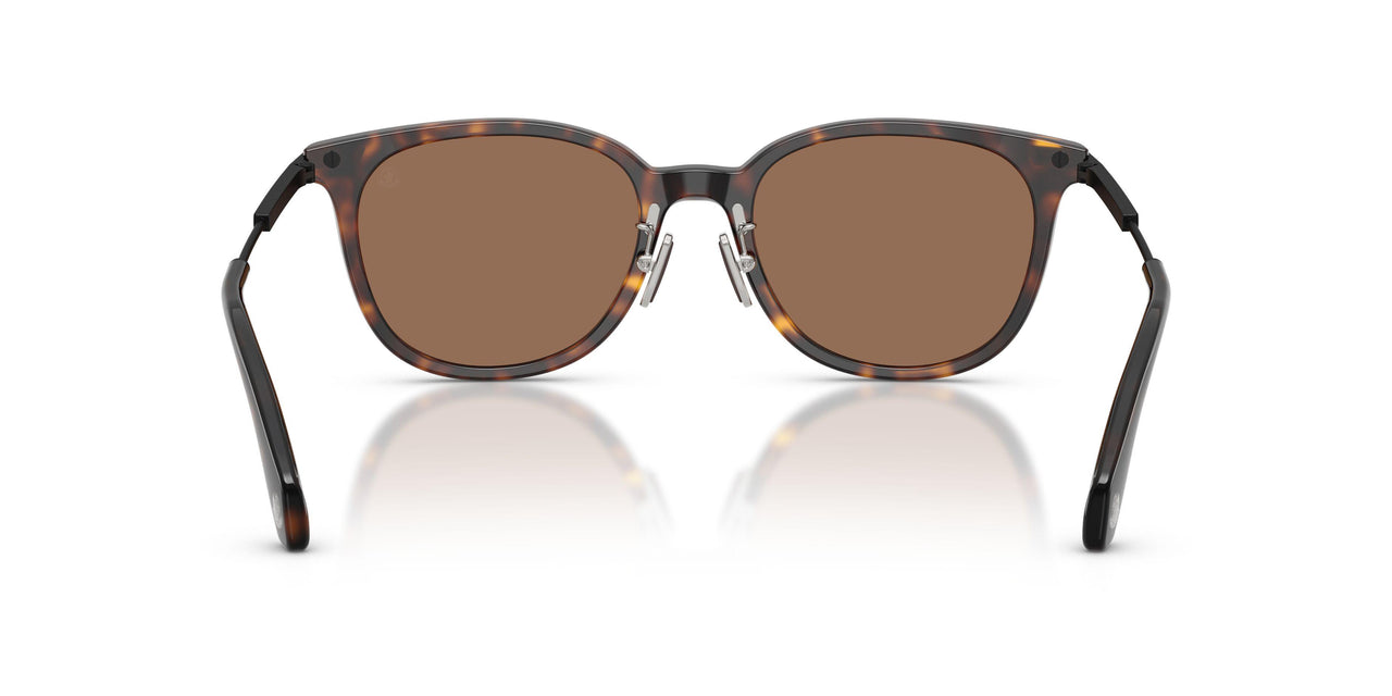 300273 - Tortoise - Solid Brown