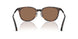 300273 - Tortoise - Solid Brown