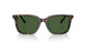 500371 - Tortoise - Bottle Green