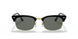 130358 - Black - Green Polar