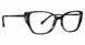 TBL - Tortoise/Blue