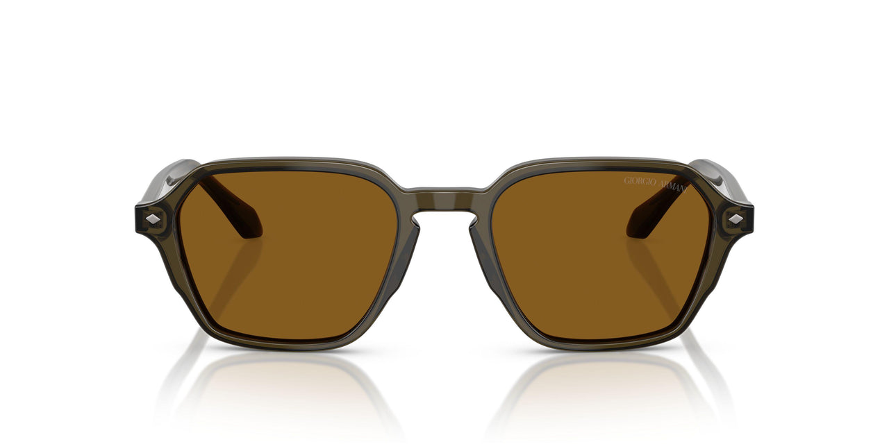 616933 - Green - Brown