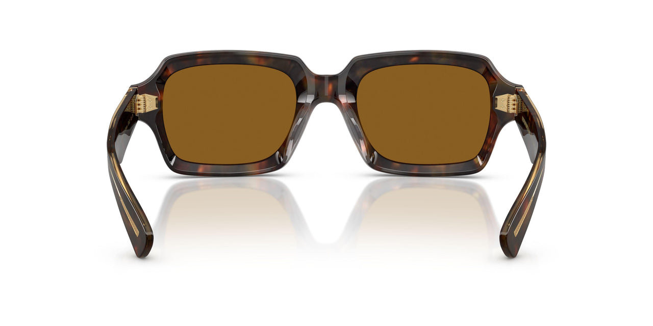 180153 - Brown - True Brown