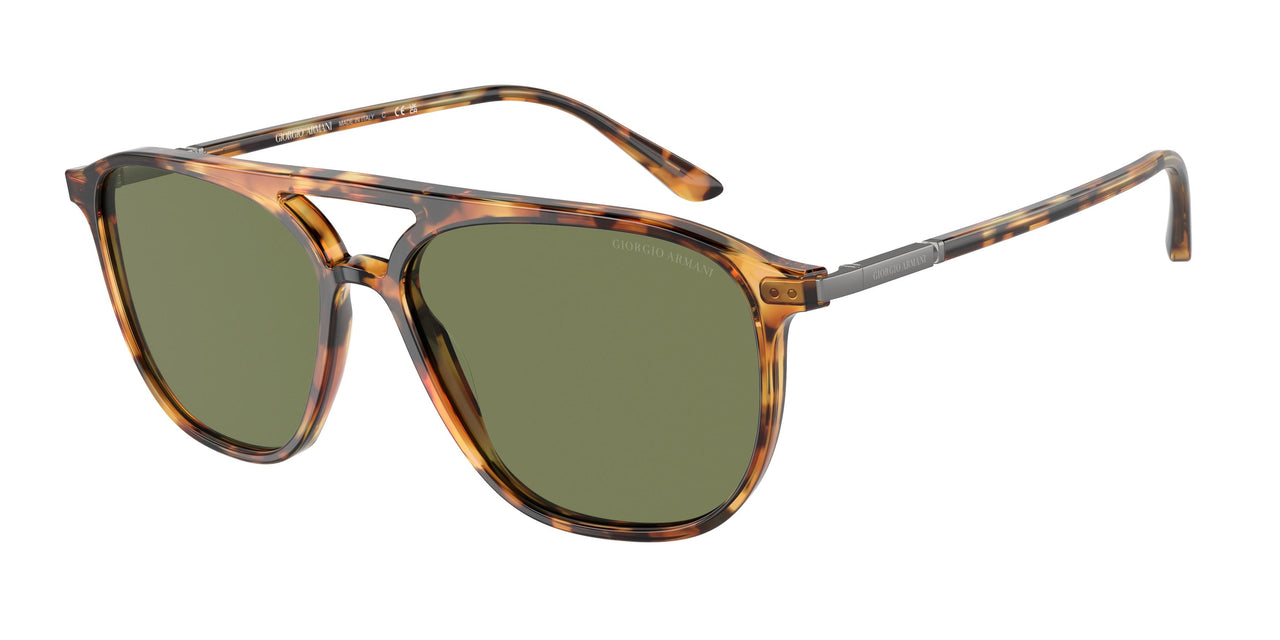 Giorgio Armani 8179 Sunglasses