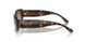 W65668 - Brown - Violet Gradient Brown