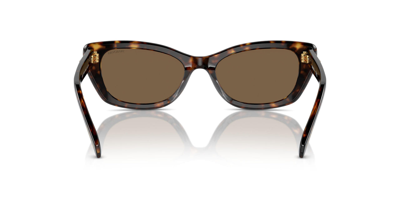 100273 - Tortoise - Dark Brown
