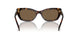 100273 - Tortoise - Dark Brown