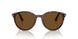 24/57 - Tortoise - Polar Brown