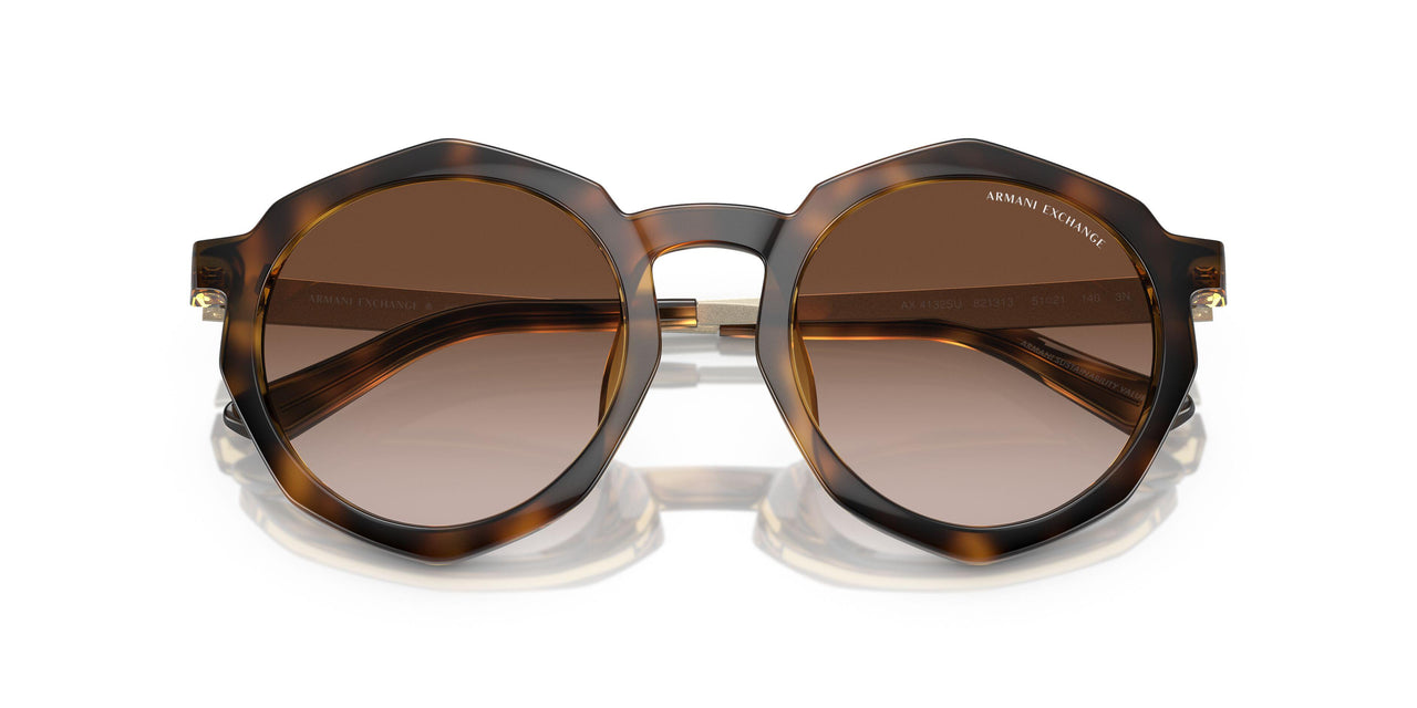 821313 - Tortoise - Gradient Brown