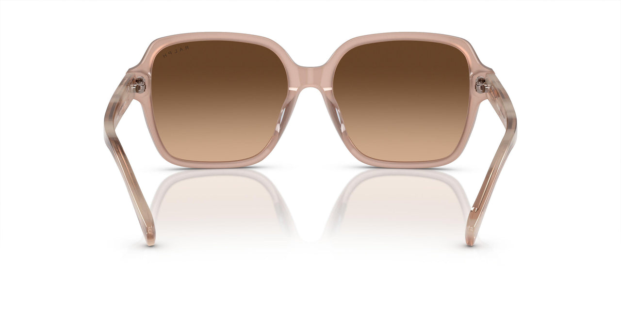 611474 - Brown - Gradient Brown