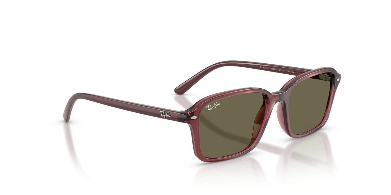 7197/3 - Violet - Brown