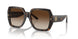 172813 - Tortoise - Brown Gradient