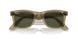 138731 - Grey - Green