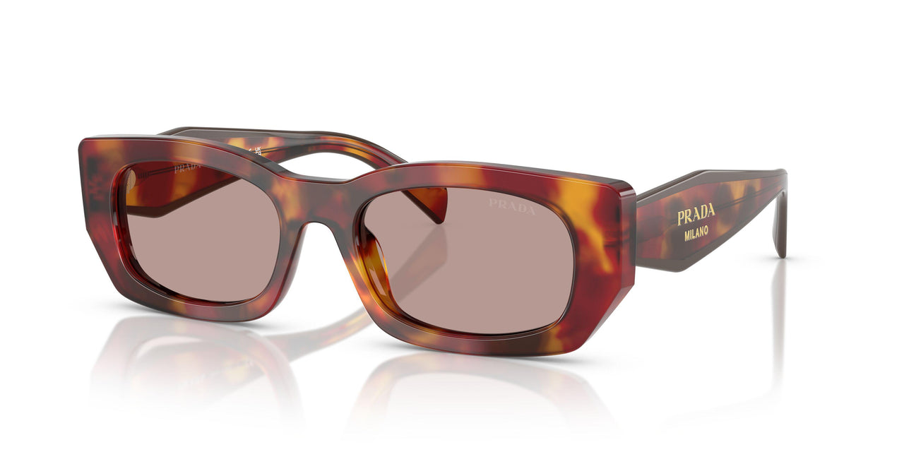 22A20I - Tortoise - Light Purple Brown
