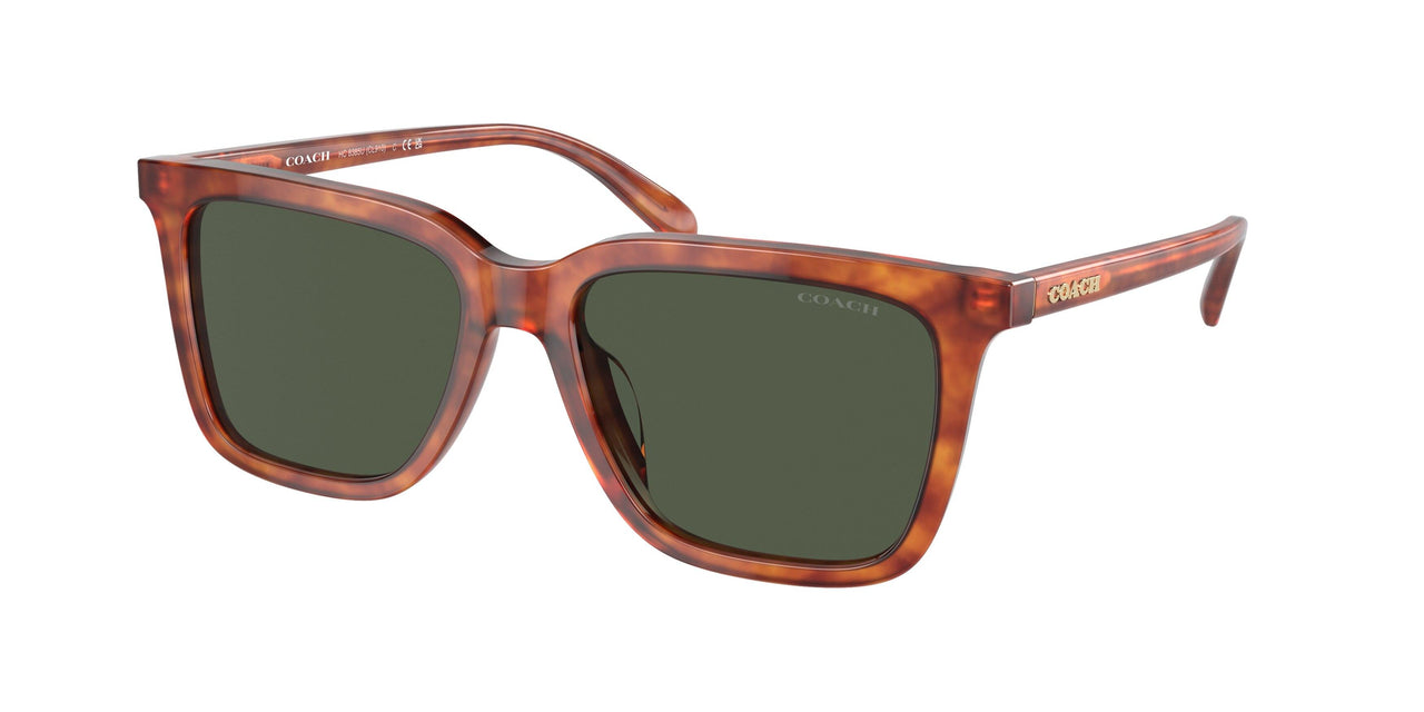 577482 - Tortoise - Green