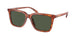 577482 - Tortoise - Green