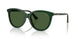 416271 - Green - Dark Green