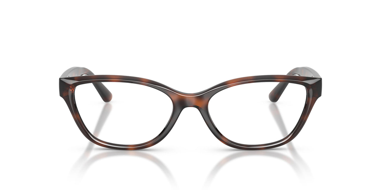 6241 - Tortoise