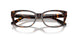 8015 - Tortoise