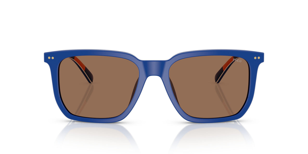 523573 - Blue - Dark Brown