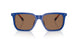 523573 - Blue - Dark Brown