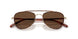 5035AN - Gold - Terra Polarized