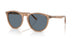 31894Y - Brown - Blue Polar