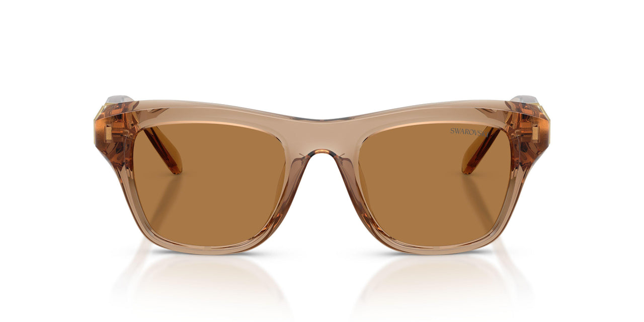 109273 - Brown - Bronze