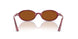 685773 - Violet - Dark Brown