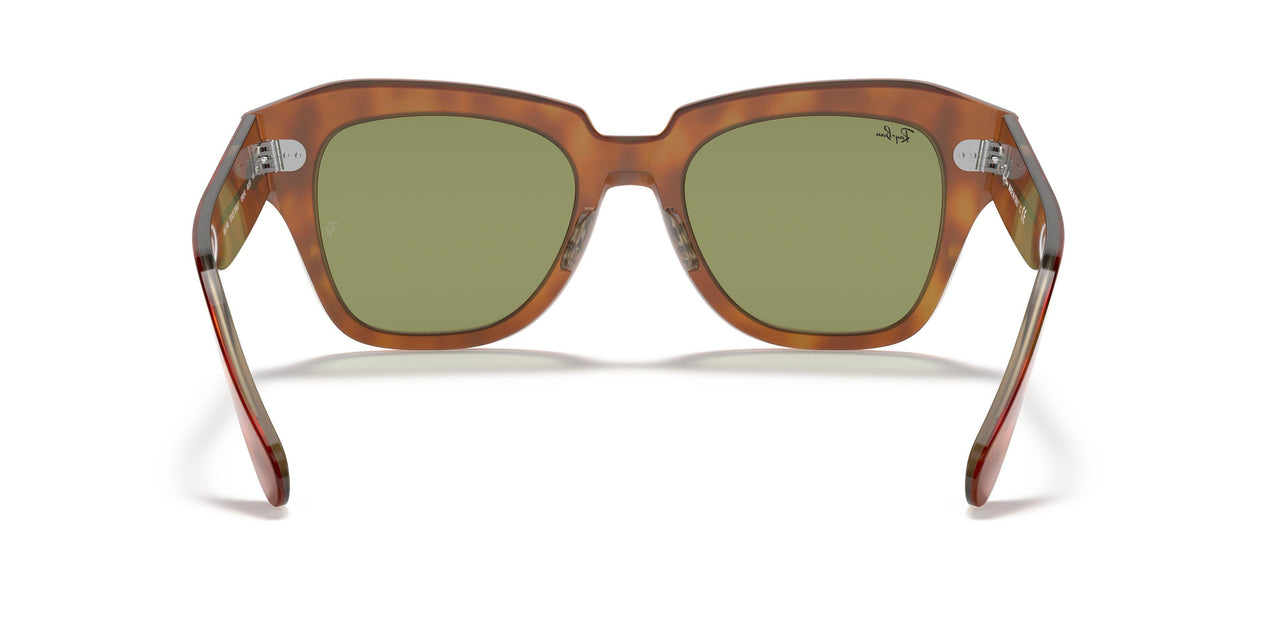 12934E - Top Tortoise/transparent Beige - Bottle Green
