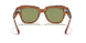 12934E - Top Tortoise/transparent Beige - Bottle Green