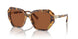 100473 - Tortoise - Dark Brown