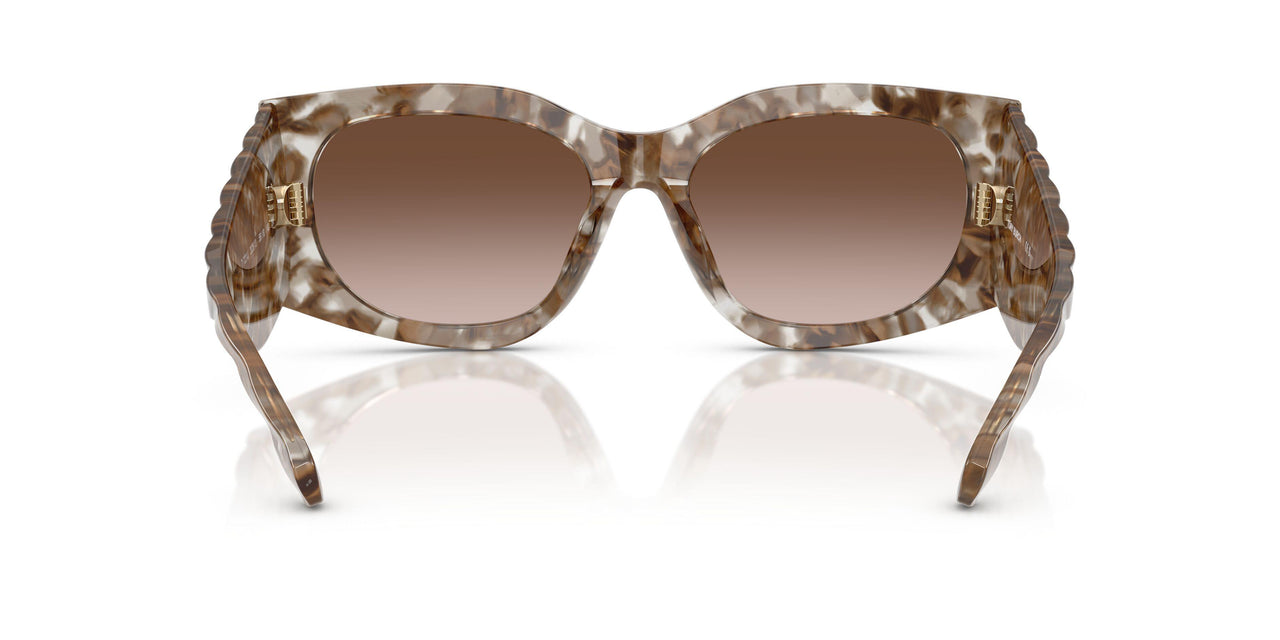 202613 - Brown - Brown Gradient