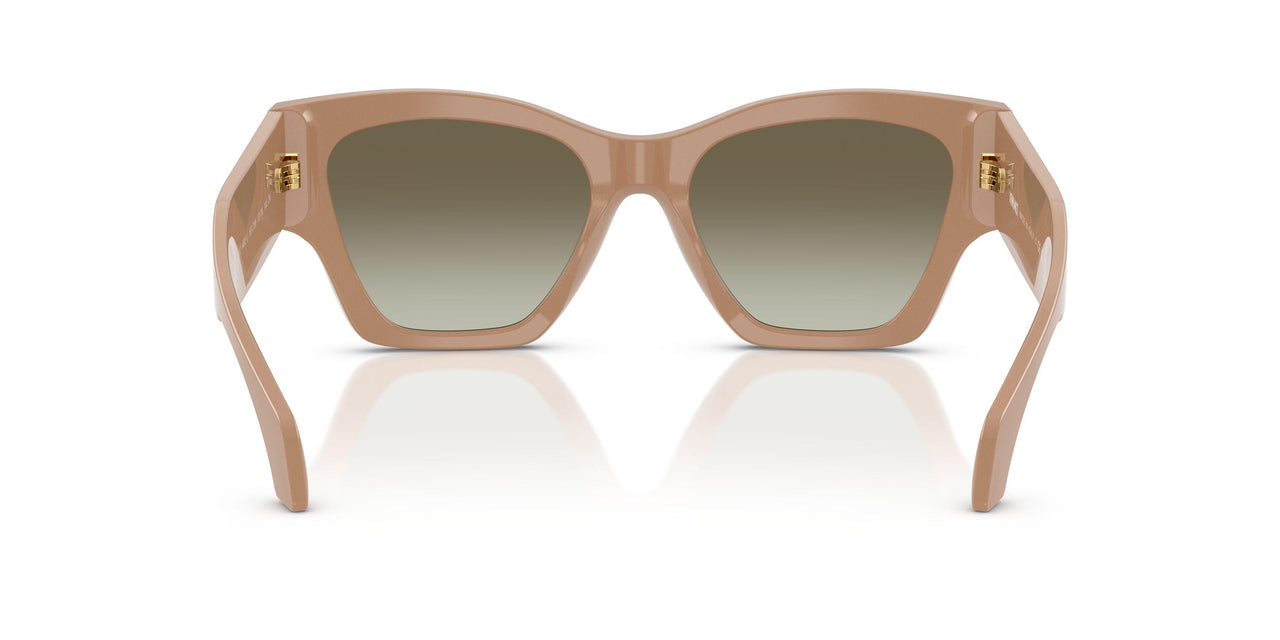55178E - Brown - Green Gradient