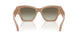 55178E - Brown - Green Gradient
