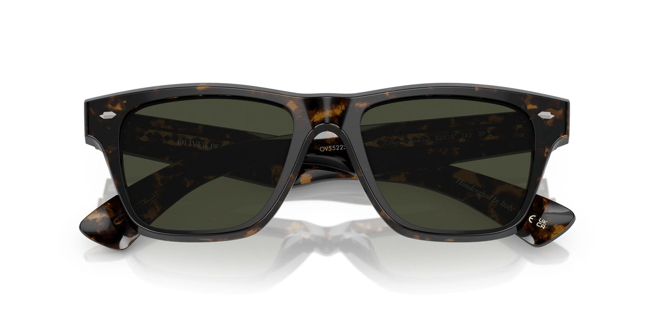 1747P1 - Tortoise - G-15 Polarized