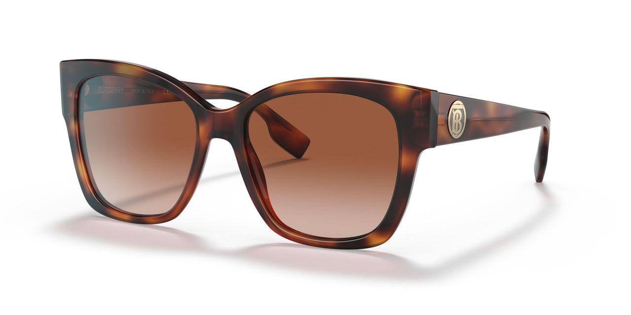 331613 - Havana - Brown Gradient