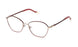 Flash Special VYA136 Eyeglasses