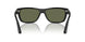 95/58 - Black - Polar Green