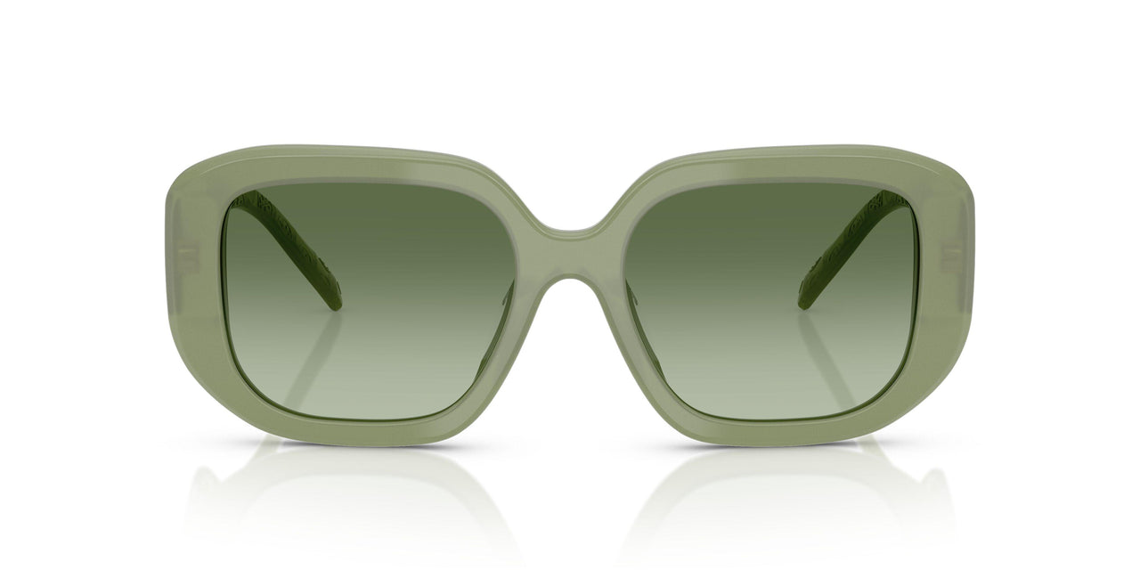 20228E - Green - Green Gradient