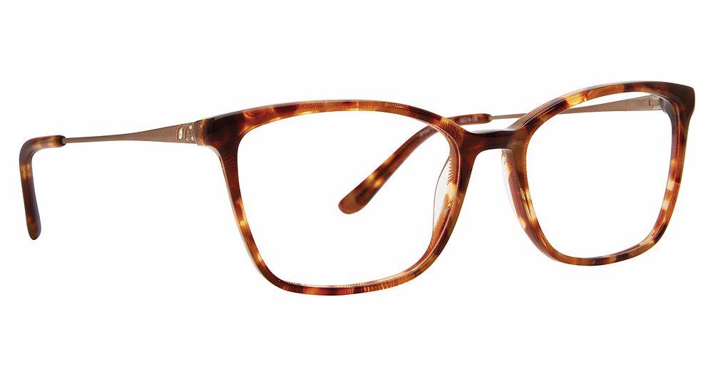 ATO - Amber Tortoise