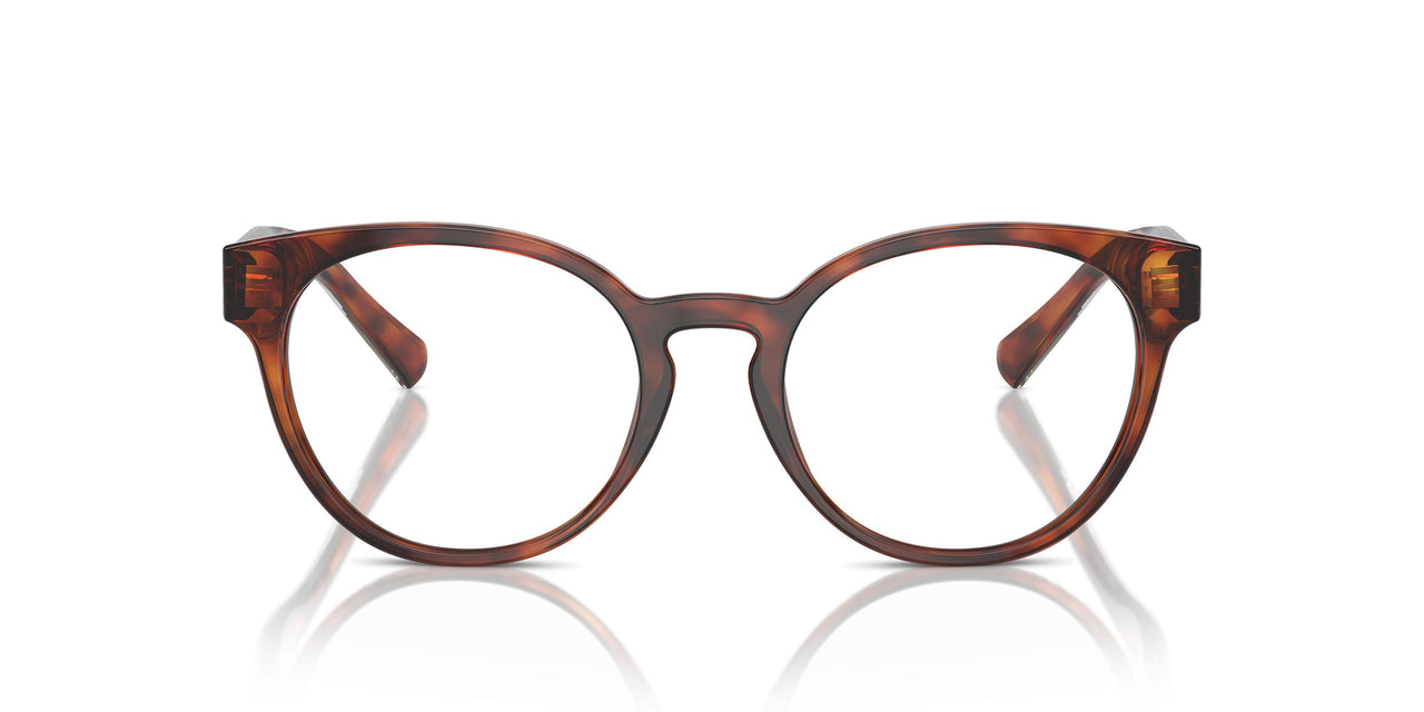8002 - Tortoise