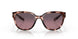 905109 - Orange - Rose Gradient