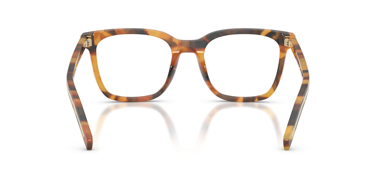 29C1O1 - Tortoise