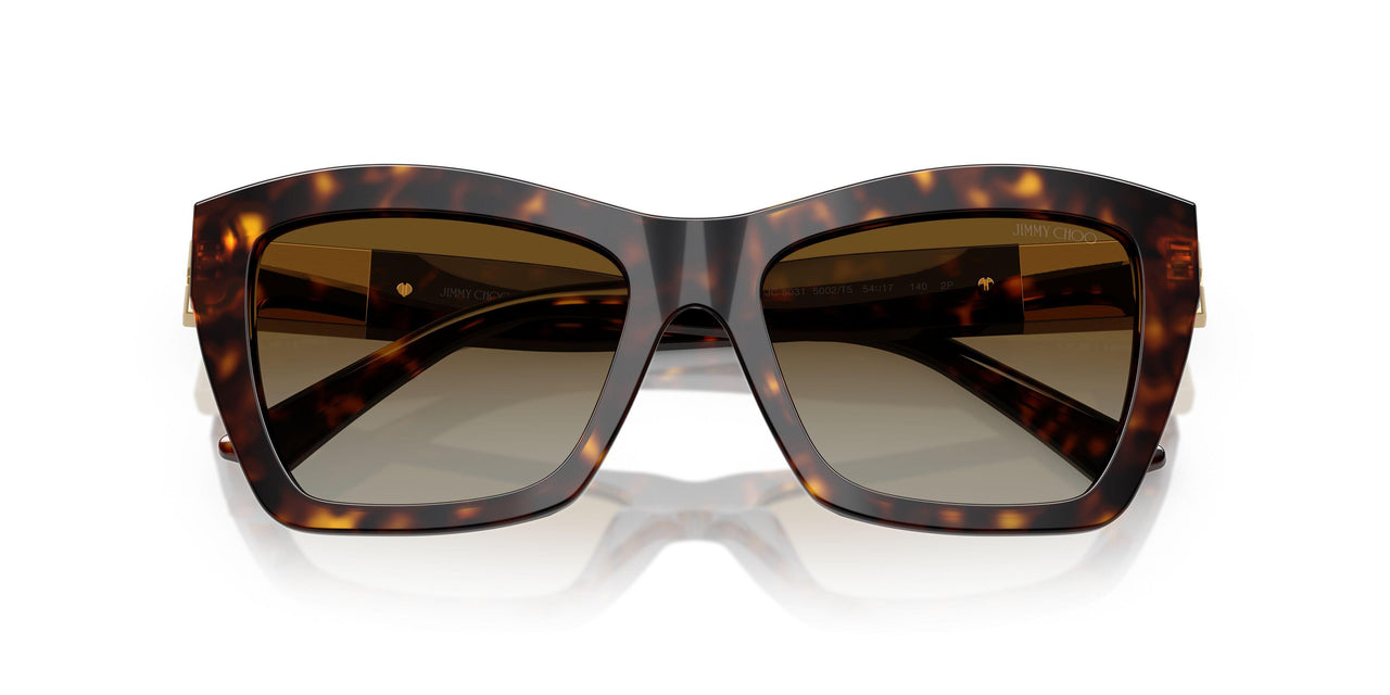 5002T5 - Tortoise - Polar Gradient Brown