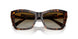 5002T5 - Tortoise - Polar Gradient Brown
