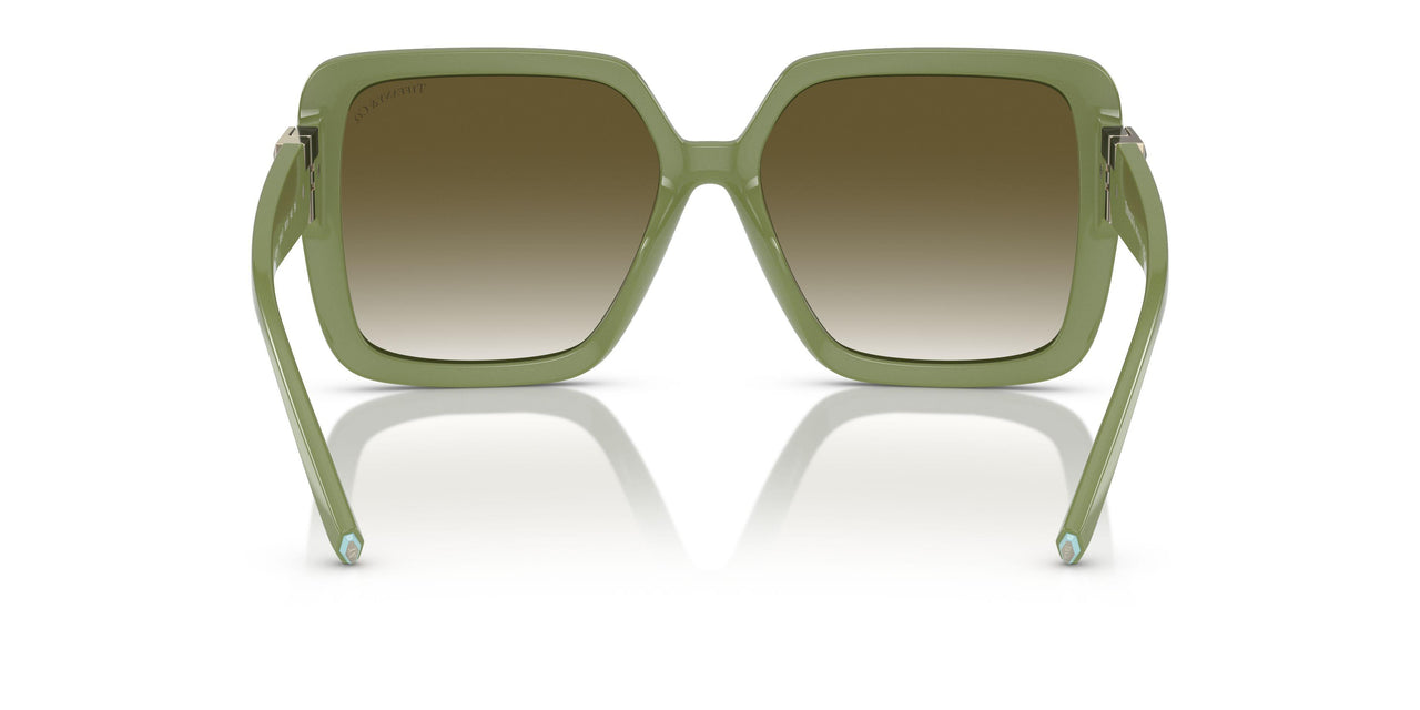 83687Z - Brown - Light Grey Gradient Green